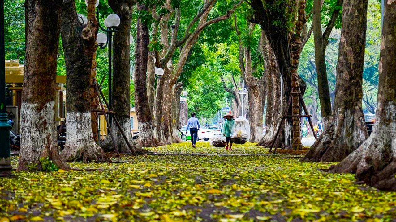 Thời tiết ảnh hưởng lớn đến lựa chọn loại sàn